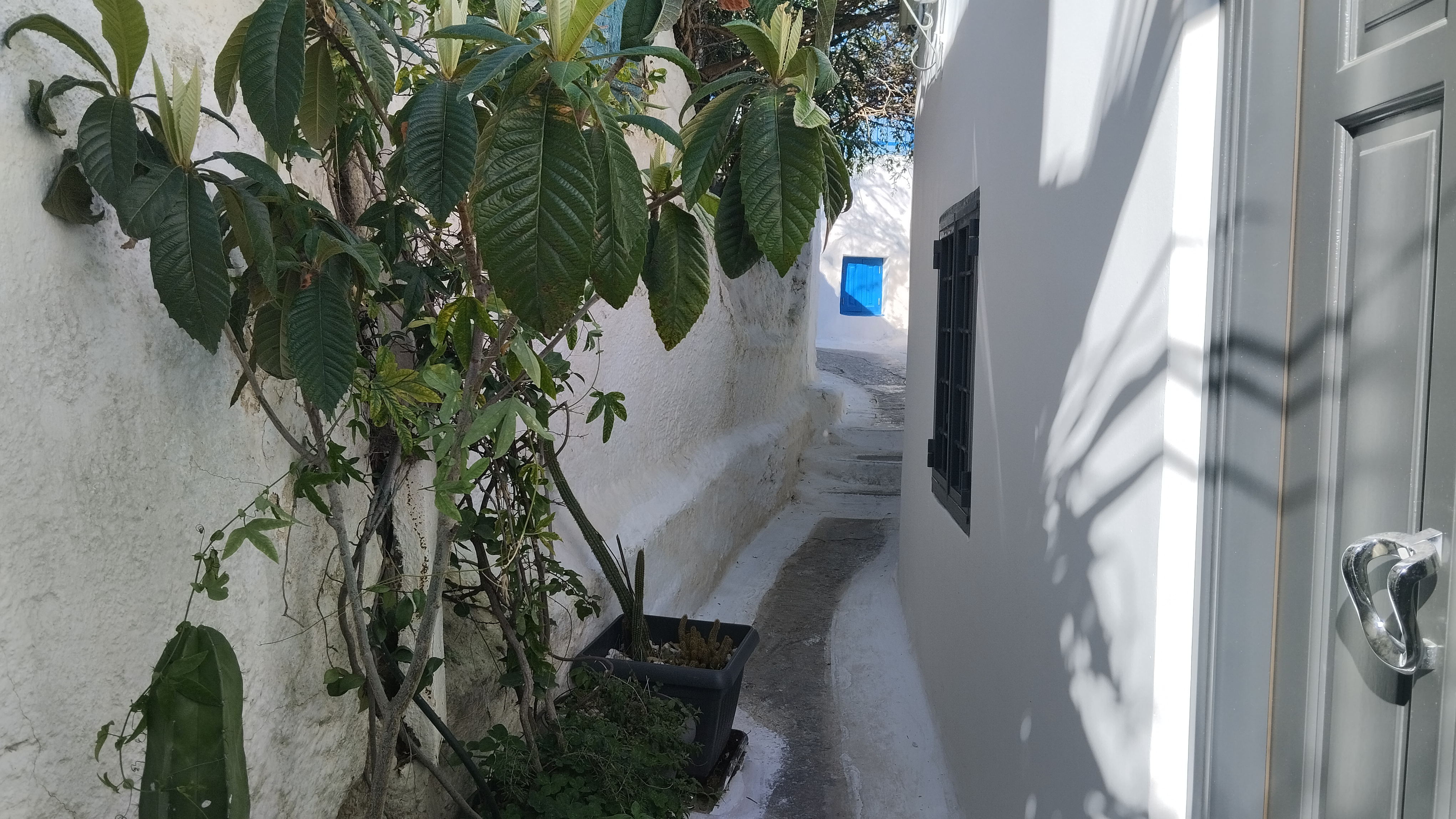 Athens walking tour